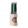 K50 - 6 Piece Steak Knife Set in Block